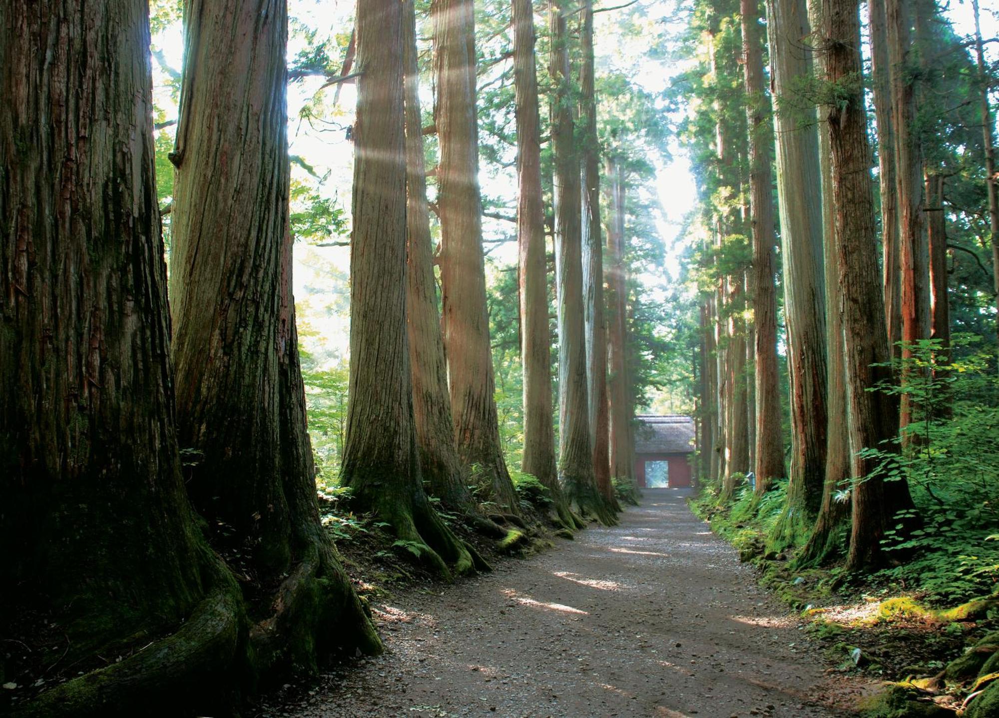 Fukeikan 風景館 Takayama  Exterior foto